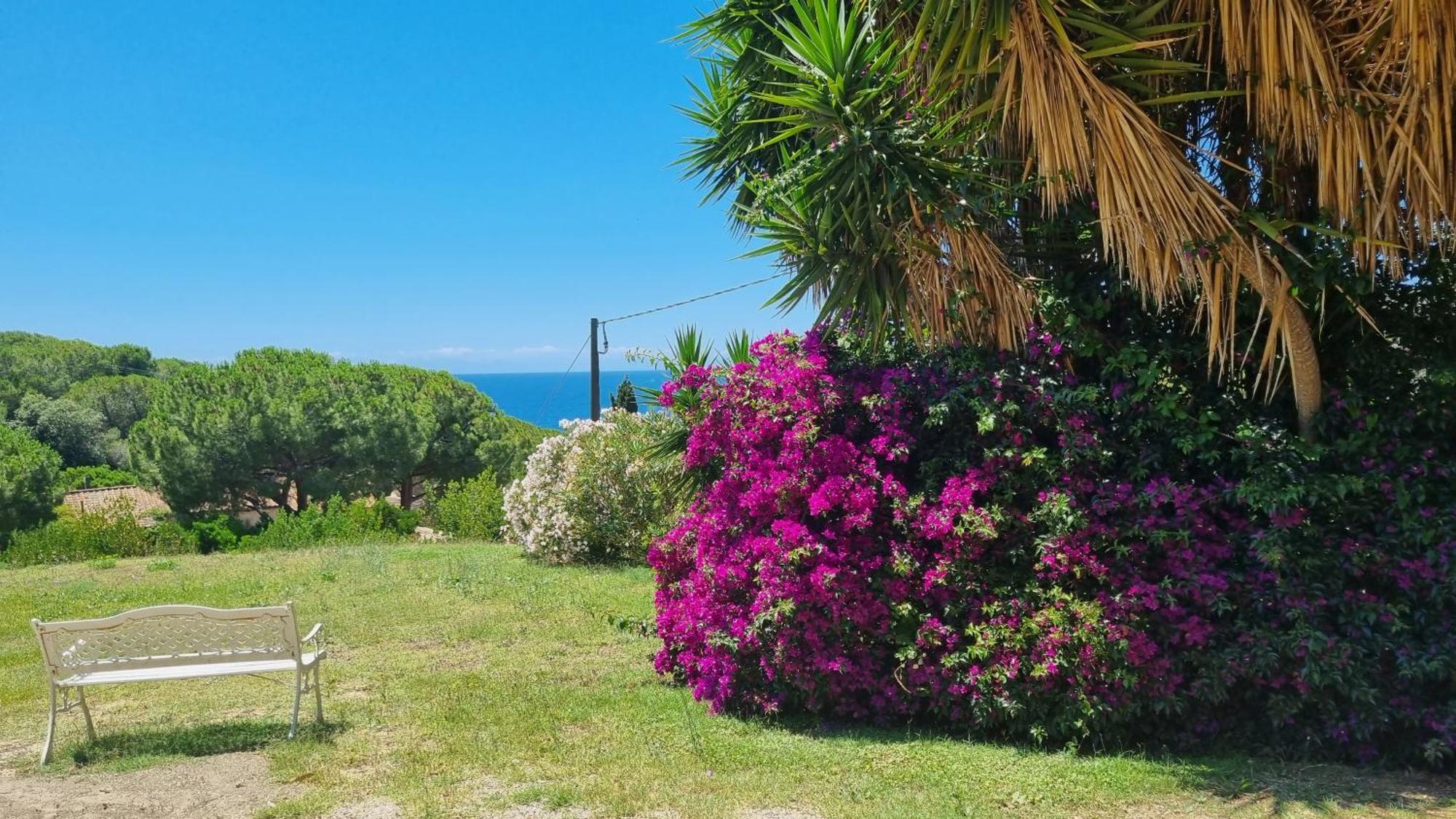 Appartamenti La Conchiglia Capoliveri  Bagian luar foto